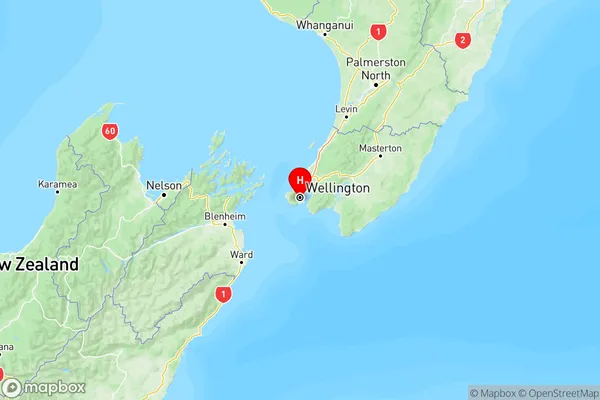 Newtown, Wellington Region Map