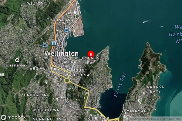 Oriental Bay, Wellington Satellite Map