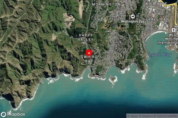 Owhiro Bay, Wellington Satellite Map