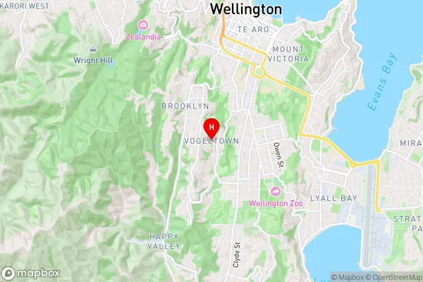 Vogeltown, Wellington Region Map