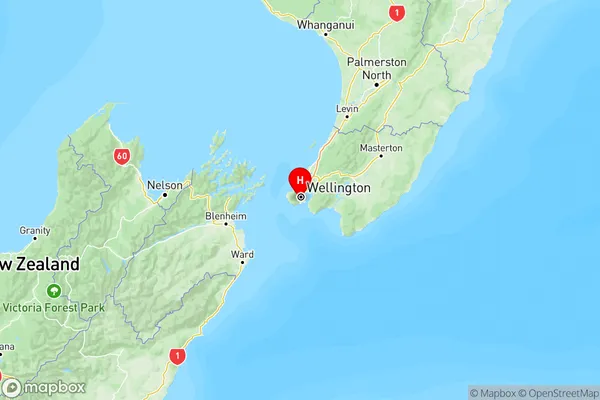 Vogeltown, Wellington Region Map