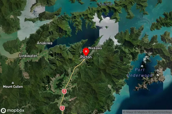 Picton, Marlborough Satellite Map