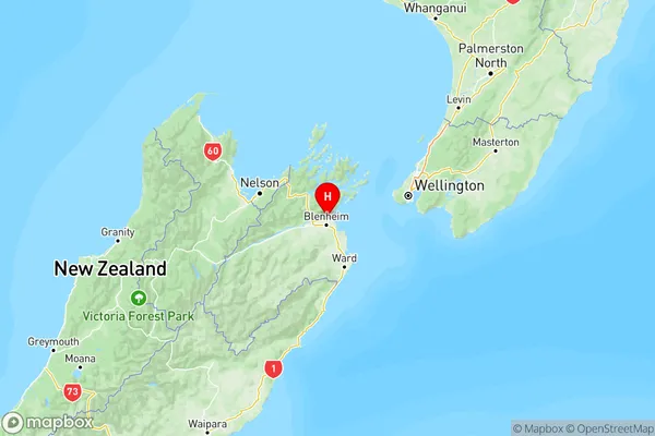 Spring Creek, Marlborough Region Map