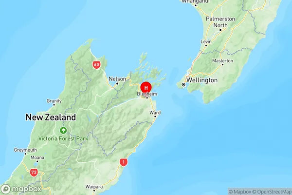 Springlands, Marlborough Region Map