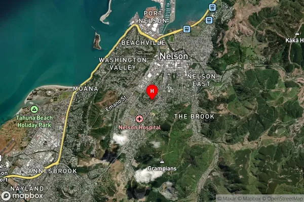 Nelson South, Nelson Satellite Map