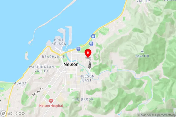 The Wood, Nelson Region Map