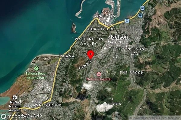 Toi Toi, Nelson Satellite Map