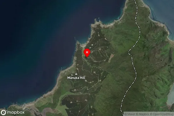 Whangamoa, Nelson Satellite Map