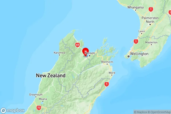 Appleby, Tasman Region Map