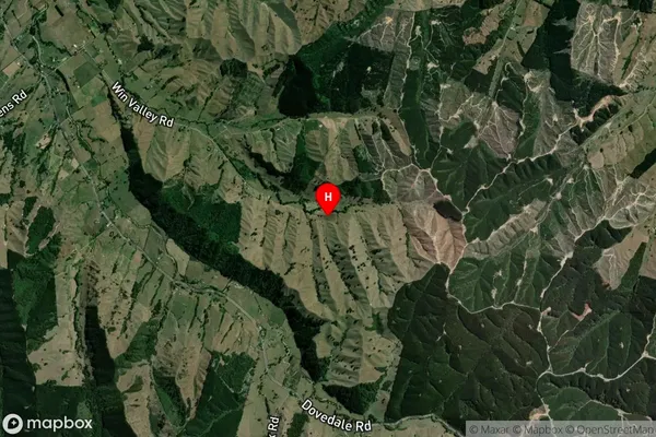 Dovedale, Tasman Satellite Map