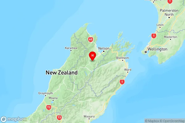 Golden Downs, Tasman Region Map