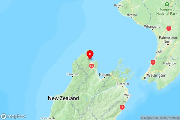 Patons Rock, Tasman Region Map