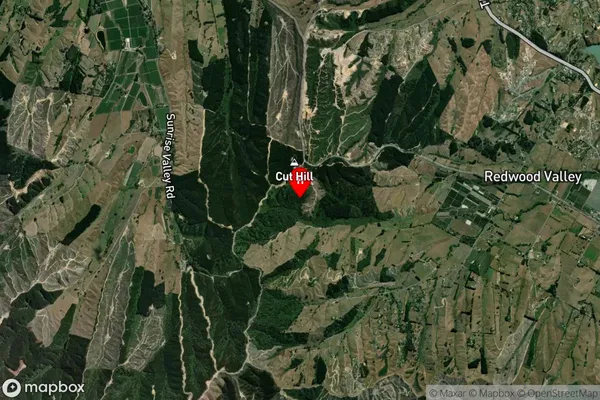 Redwood Valley, Tasman Satellite Map