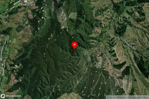 Thorpe, Tasman Satellite Map