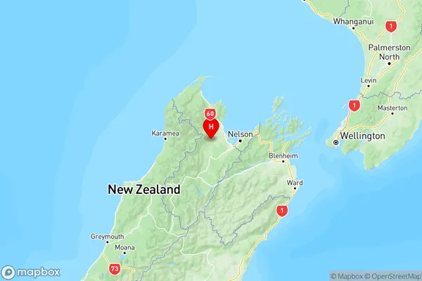 Woodstock, Tasman Region Map