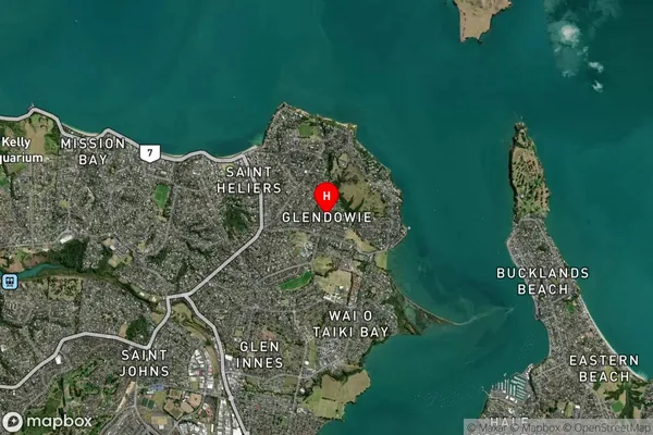 Glendowie, Auckland Satellite Map