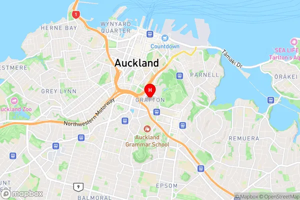 Grafton, Auckland Region Map