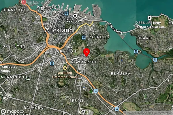 Newmarket, Auckland Satellite Map