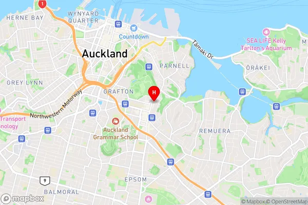 Newmarket, Auckland Region Map