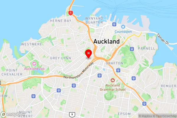 Newton, Auckland Region Map