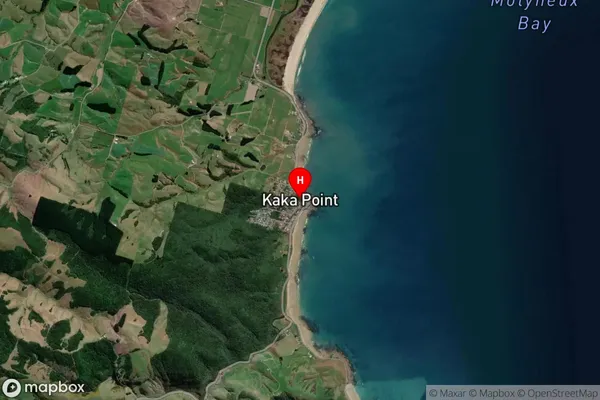 Kaka Point, Otago Satellite Map