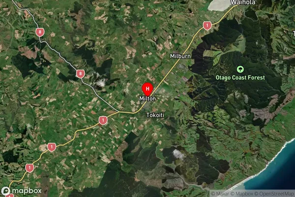 Milton, Otago Satellite Map