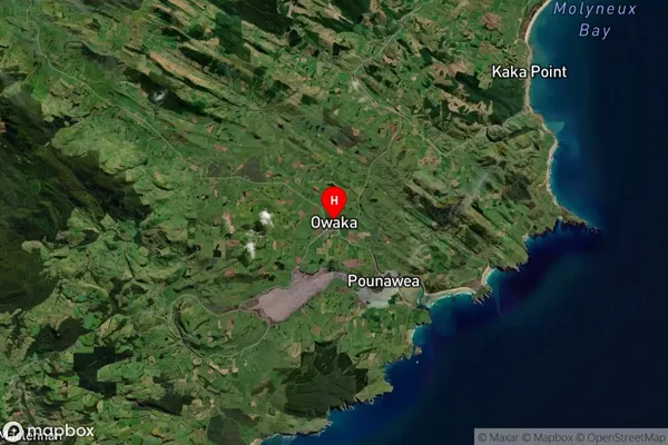 Owaka, Otago Satellite Map