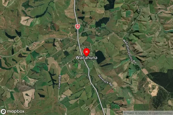 Waitahuna, Otago Satellite Map