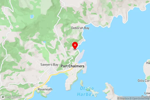 Careys Bay, Otago Region Map