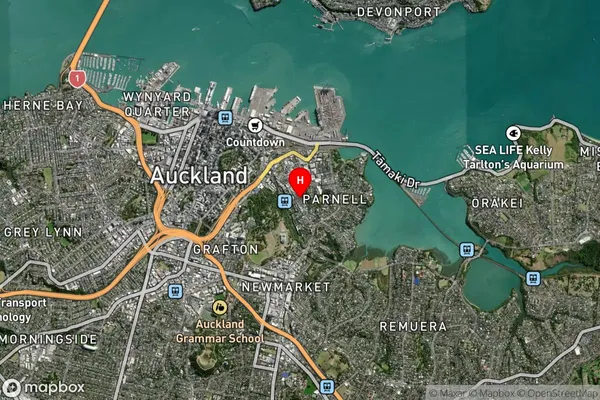 Parnell, Auckland Satellite Map