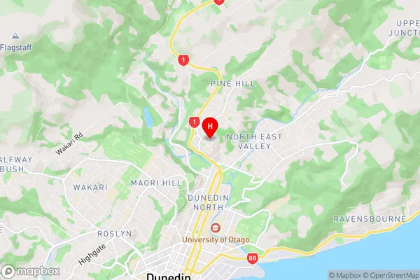 Dalmore, Otago Region Map