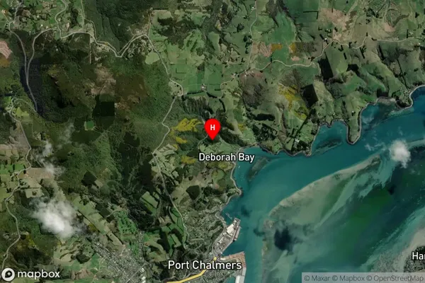 Deborah Bay, Otago Satellite Map