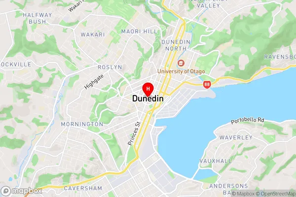 Dunedin Central, Otago Region Map