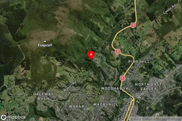 Glenleith, Otago Satellite Map