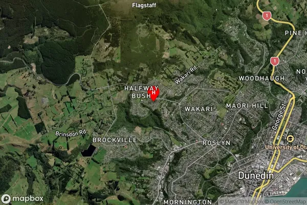 Halfway Bush, Otago Satellite Map