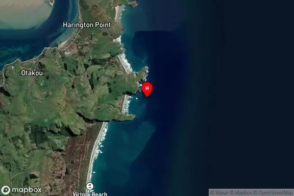 Harington Point, Otago Satellite Map