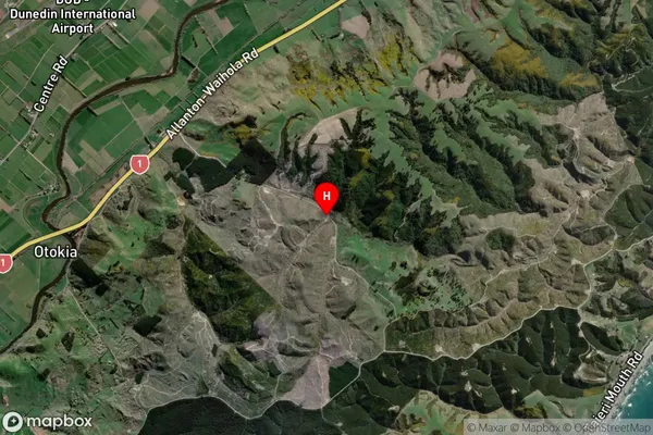 Henley, Otago Satellite Map