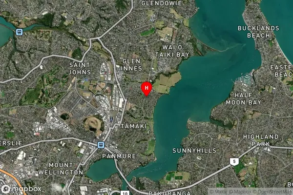 Point England, Auckland Satellite Map