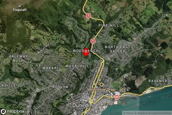 Maori Hill, Otago Satellite Map