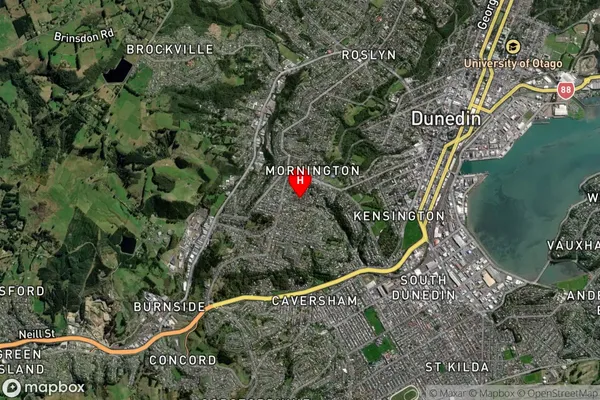 Mornington, Otago Satellite Map