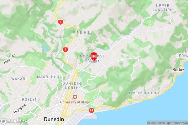 North East Valley, Otago Region Map