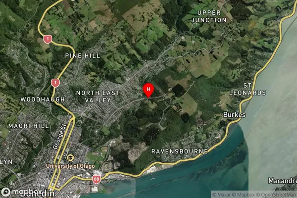 Opoho, Otago Satellite Map