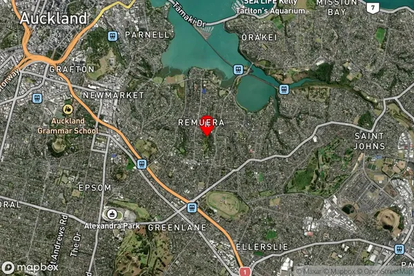 Remuera, Auckland Satellite Map