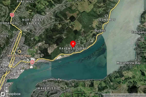 Ravensbourne, Otago Satellite Map