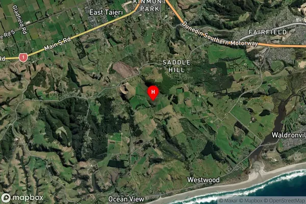 Saddle Hill, Otago Satellite Map