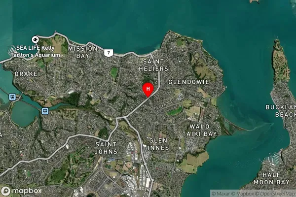 Saint Heliers, Auckland Satellite Map