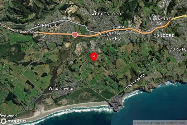 Waldronville, Otago Satellite Map