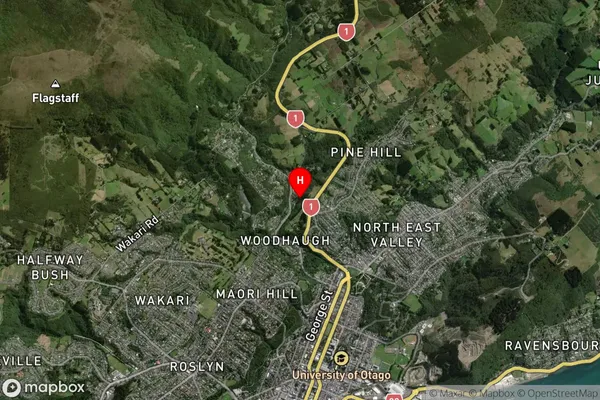 Woodhaugh, Otago Satellite Map