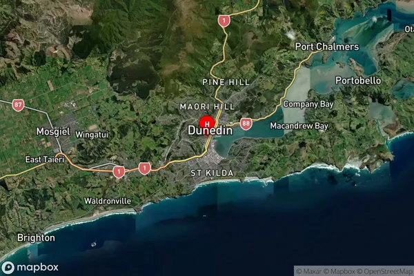 Dunedin, Otago Satellite Map