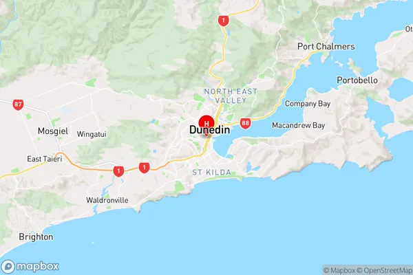 Dunedin, Otago Region Map